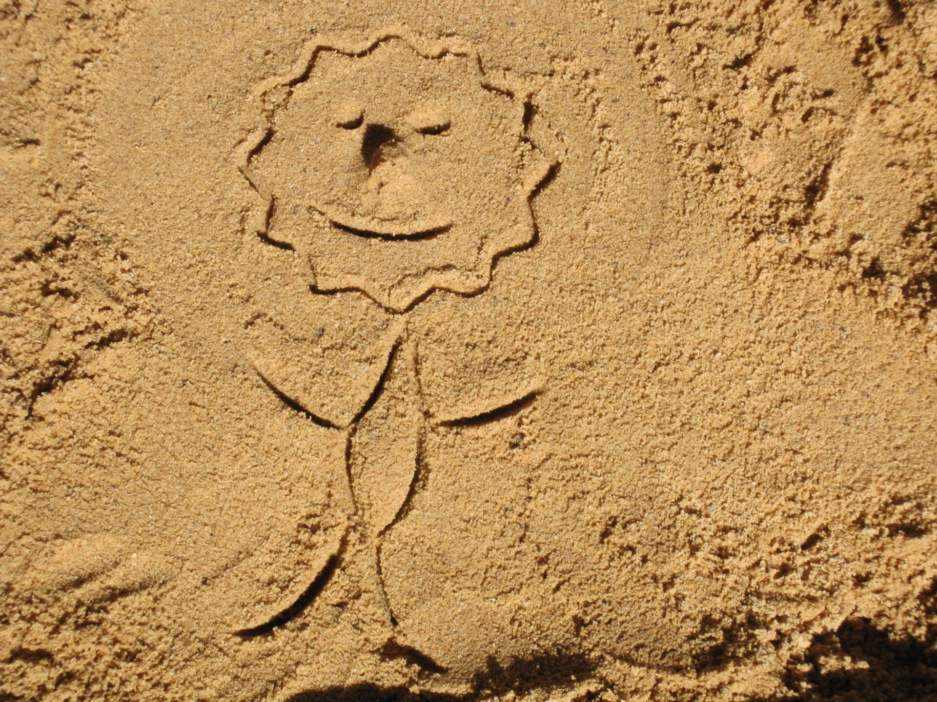 sandkunstwerk-1856782